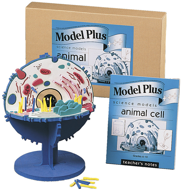 Cell Biology Books, Models, Cell Biology Supplies, Item Number 573121
