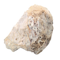 Rock & Mineral Samples, Item Number 587293