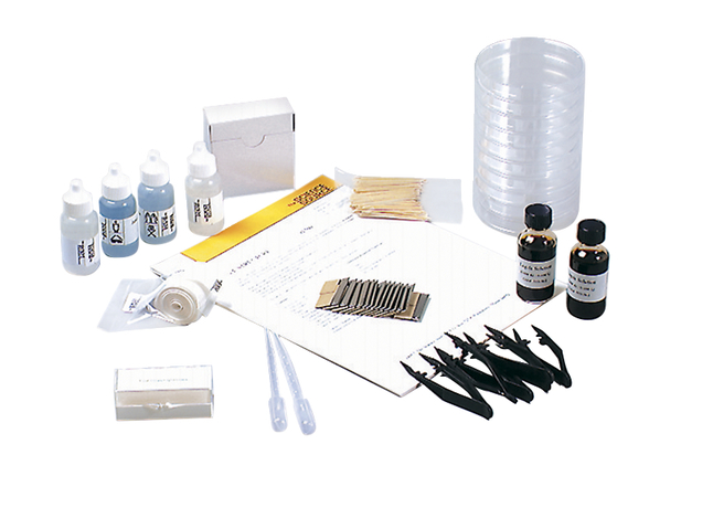 Frey Scientific Cell Structure Kit, Item Number 589857
