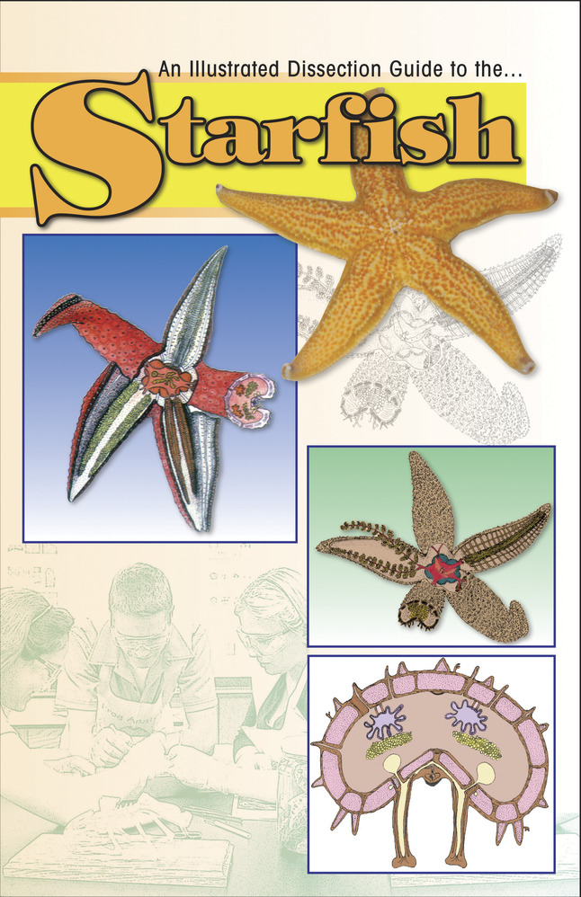 Frey Scientific Mini-Guide to Starfish Dissection, Paperback, 8 Pages, Item Number 597018
