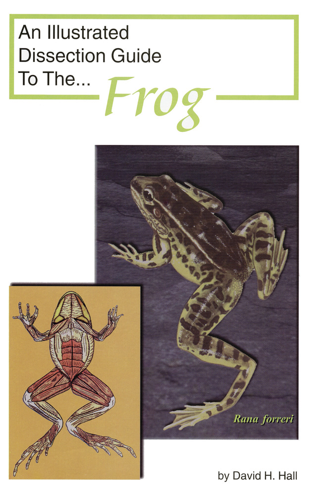 Frey Scientific Mini-Guide to Frog Dissection, Paperback, 16 Pages, Item Number 597024