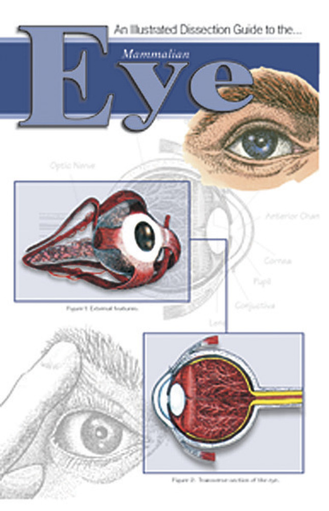 Frey Scientific Mini-Guide to Mammalian Eye Dissection, Item Number 597054
