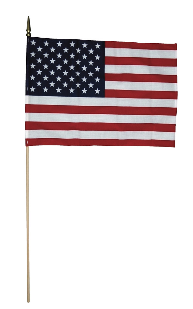 Annin Hand Held US Flag, White Staff, 12 L x 18 W in, Item Number 863009