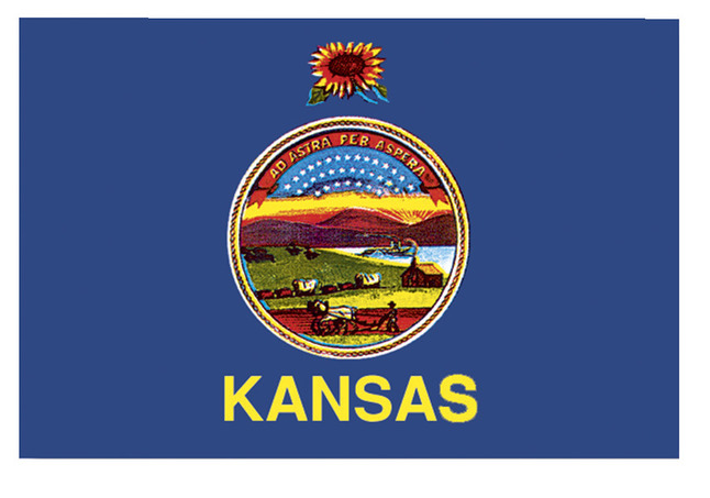 Annin Nylon Kansas Heavy Weight Outdoor State Flag, 3 X 5 ft, Item Number 1334718